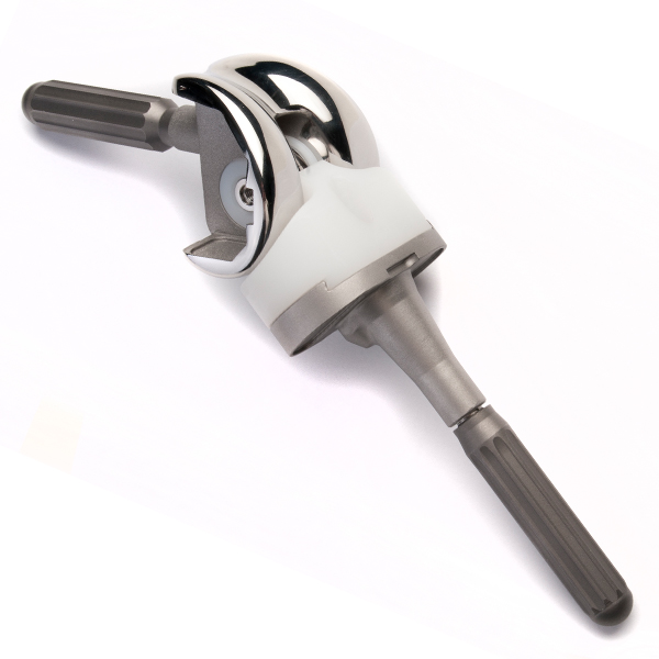 BEZNOSKA total knee replacement CMS